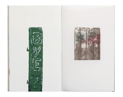 'Mist missed' book spread